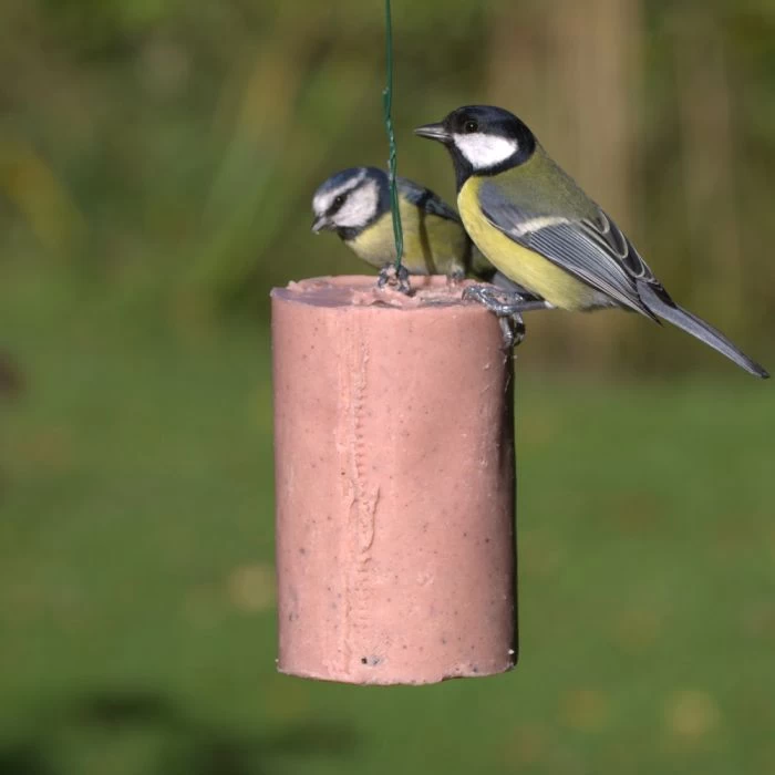 Very Berry Peanut Cake Tube (500ml) 4 Very Berry Peanut Cake Tube (500ml) - Image 2