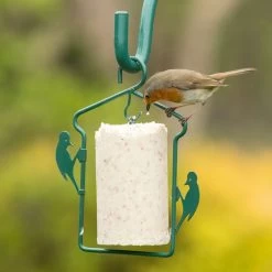 National Trust Gourmet Robin Peanut Cake (500 Ml) -Bird Supplies Store 10025 01