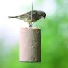 Coconut Cake Tube (500ml) -Bird Supplies Store 10037 2 1