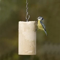 Peanut Cake Tube Original (1 Litre)