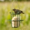 Peanut Cake Tube Hi-Protein For Starling (1 Litre) 1 Peanut Cake Tube Hi-Protein For Starling (1 Litre) -Bird Supplies Store 10043