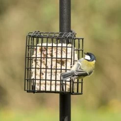 Peanut Cake Square Supreme -Bird Supplies Store 10077 04