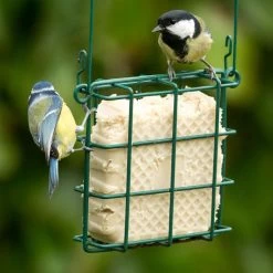 Peanut Cake Square With Mealworms -Bird Supplies Store 10078 3