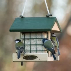 National Trust Insect Peanut Cake 300g -Bird Supplies Store 10081 03