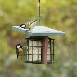 Peanut Cake Square Original -Bird Supplies Store 10082 03