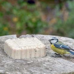 Peanut Cake Squares - Bundle Of 4 -Bird Supplies Store 10082 original peanut cake jvg 0156 5 1 2 1