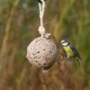 Giant Fat Ball On A Rope - Original -Bird Supplies Store 10095 mood