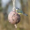 Giant Fat Ball On A Rope - Berries -Bird Supplies Store 10098 1 2