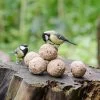 Ultimate Fat Balls With Insects - 6 Pack -Bird Supplies Store 10210 2 1