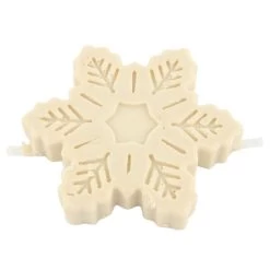 Snowflake Suet Treat 700g -Bird Supplies Store 10222 1 3