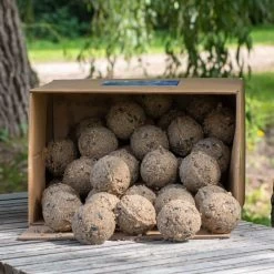 Box Of 50 Ultimate Fat Balls With Insects