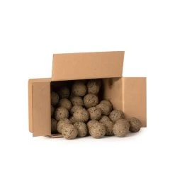Box Of 50 Ultimate Fat Balls With Insects -Bird Supplies Store 102260119 2