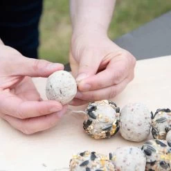 Peanut Butter Modelling Clay (1kg) -Bird Supplies Store 10247 06 1