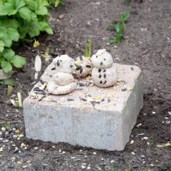 Peanut Butter Modelling Clay (1kg) -Bird Supplies Store 10247 07 1