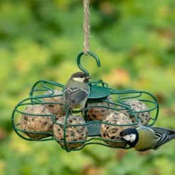 National Trust Ultimate Fat Balls - 6 Pack 13 National Trust Ultimate Fat Balls - 6 Pack -Bird Supplies Store 10276 6