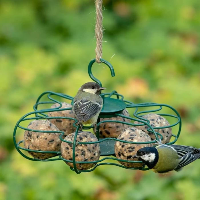 National Trust Ultimate Fat Balls - 6 Pack 8 National Trust Ultimate Fat Balls - 6 Pack - Image 6