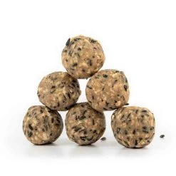 Box Of 50 Ultimate Fat Balls -Bird Supplies Store 10276 1 2