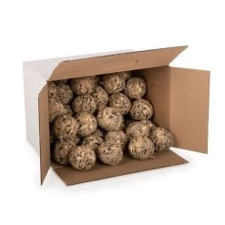 Box Of 50 Ultimate Fat Balls -Bird Supplies Store 10278 02