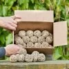 Box Of 50 Ultimate Fat Balls -Bird Supplies Store 10278 4