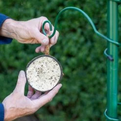 Half Coconut With Peanut Butter Bird Food -Bird Supplies Store 102790119 1