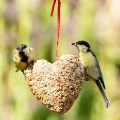 Peanut & Sunflower Heart -Bird Supplies Store 10289 3