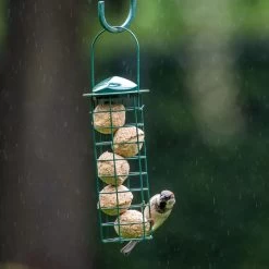 Fat Balls With Insect Fat - 6 Pack