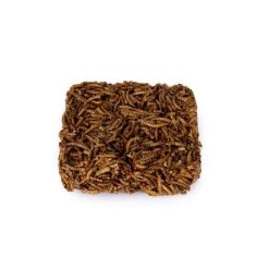 Dried Mealworm Square For Birds 90g