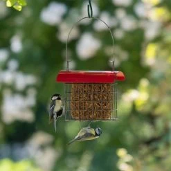 Dried Mealworm Square For Birds 90g -Bird Supplies Store 106640119 qm 6703