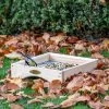 Kandava Ground Bird Feeding Table -Bird Supplies Store 109950119 311030119 jvg 2182