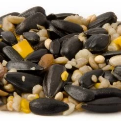 Hi-Energy Seed Mix For Birds -Bird Supplies Store 11005 1