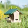 Colorado Seed Feeder -Bird Supplies Store 110230119 930180125 6273