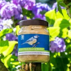 Protein Rich Peanut Butter For Birds - Bundle Of 4 -Bird Supplies Store 111730111 protein rich peanut butter sw sem low res 8632