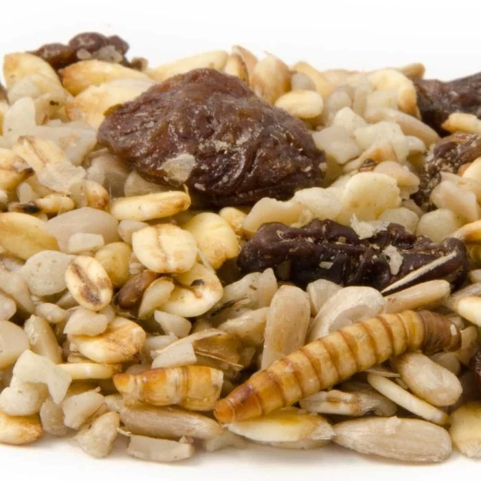 National Trust Gourmet Robin Blend 1.5ltr 4 National Trust Gourmet Robin Blend 1.5ltr - Image 2