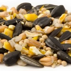 National Trust Garden Bird Table Seed -Bird Supplies Store 13005