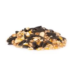 Organic Bird Seed Mix For Bird Table 2.5 Kg -Bird Supplies Store 130540119 green table seed mix dv 4298