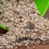 Muesli With Mealworms (2.5kg) -Bird Supplies Store 140450119 jvg 1987