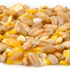 Mixed Corn For Larger Ground Feeding Birds -Bird Supplies Store 18005 3