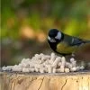 Suet Pellets With Mealworms -Bird Supplies Store 18129