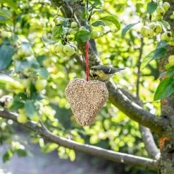 Bird Supplies Store -Bird Supplies Store 190050119 jvg 0879