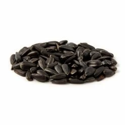 Black Sunflower Seeds - Bird Food -Bird Supplies Store 23004 1