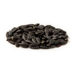 Organic Black Sunflower Seeds 2.5kg - Bird Food -Bird Supplies Store 23004 zwarte zonnebloempitten es 1