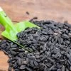 Black Sunflower Seeds - Bird Food -Bird Supplies Store 230050119 jvg 1943