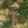 National Trust Small Metal Peanut Feeder -Bird Supplies Store 30020 national trust small metal peanut feeder qm 2167