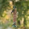 National Trust Medium Metal Peanut Feeder 2 National Trust Medium Metal Peanut Feeder -Bird Supplies Store 30030 national trust medium metal peanut feeder qm 2074