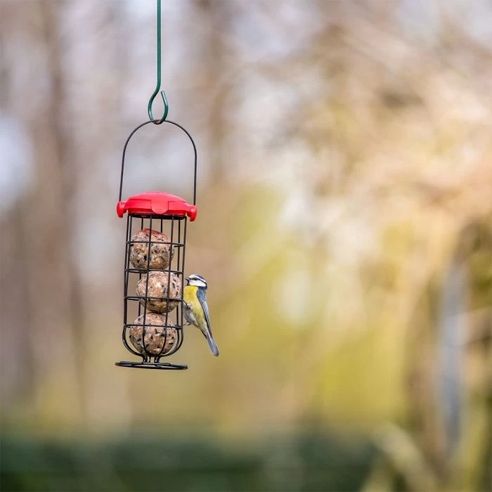 National Trust Kids Ultimate Fat Balls - Image 2