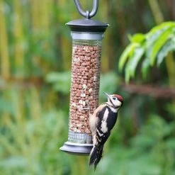 National Trust Apollo Peanut Feeder -Bird Supplies Store 30095 3