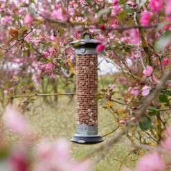 National Trust Premium Peanuts For Birds -Bird Supplies Store 300950119 apollo peanut feeder 200450120 premium whole peanuts dv 0742 2