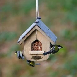 Premium Whole Peanuts - Bird Food -Bird Supplies Store 30400 5