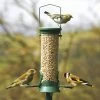 National Trust 2 Port Plastic Seed Feeder -Bird Supplies Store 31000 1