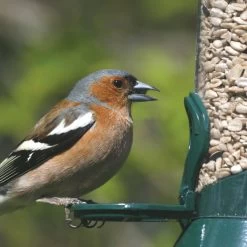 National Trust 2 Port Metal Seed Feeder -Bird Supplies Store 31030 1